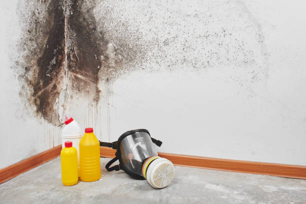 Best Mold Testing  in Lincoln Center, KS