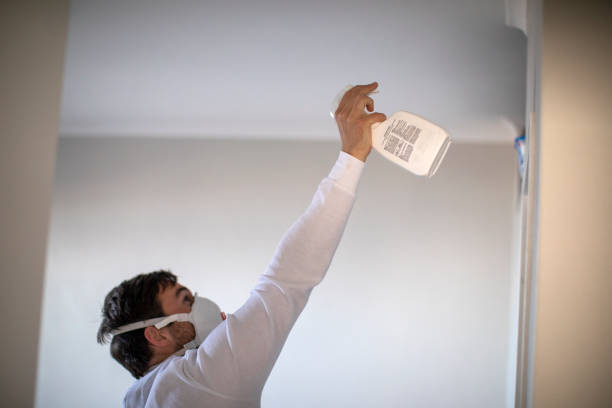 Best Mold Damage Repair  in Lincoln Center, KS